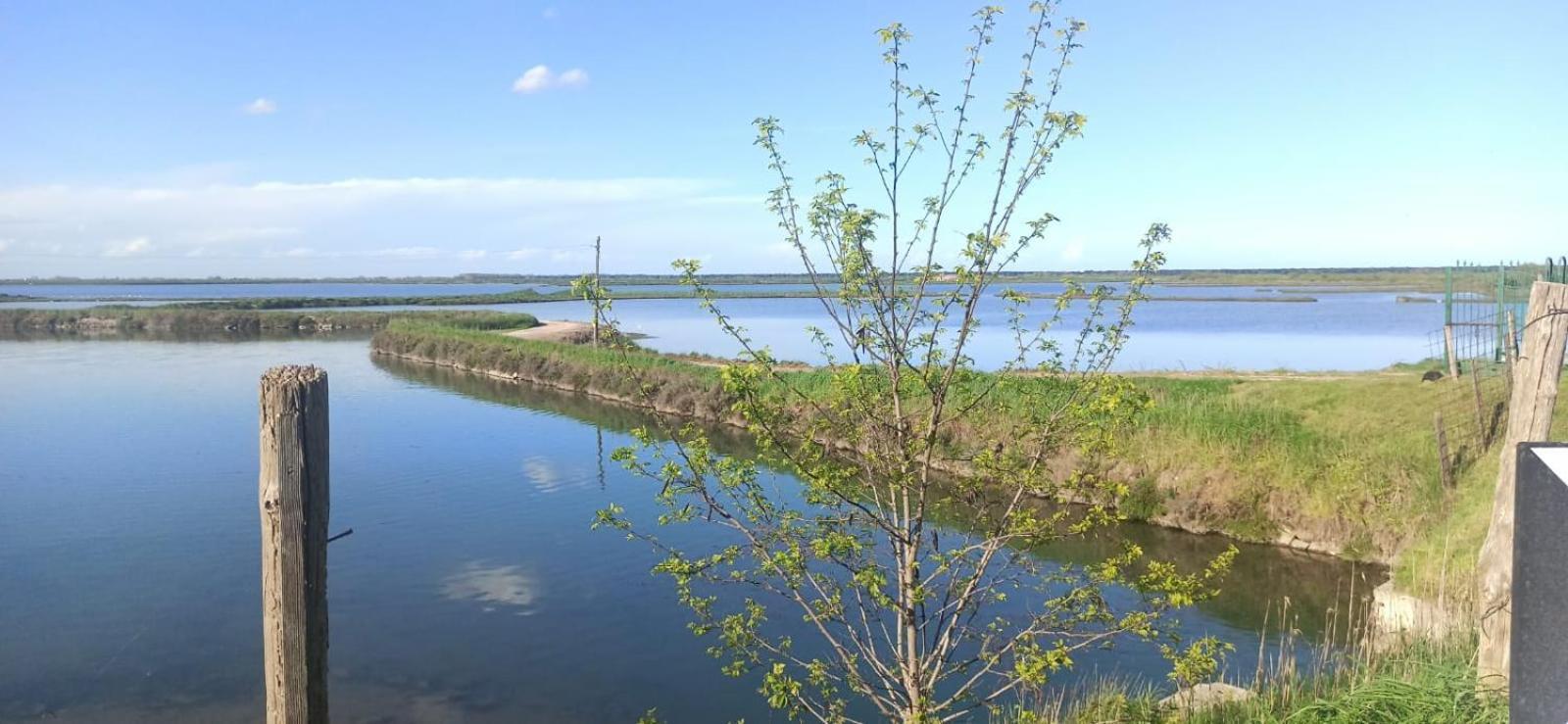 Casa Vacanze Nel Delta Del Po Taglio di Po エクステリア 写真