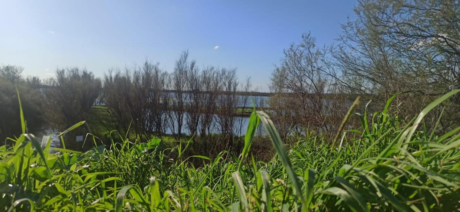 Casa Vacanze Nel Delta Del Po Taglio di Po エクステリア 写真