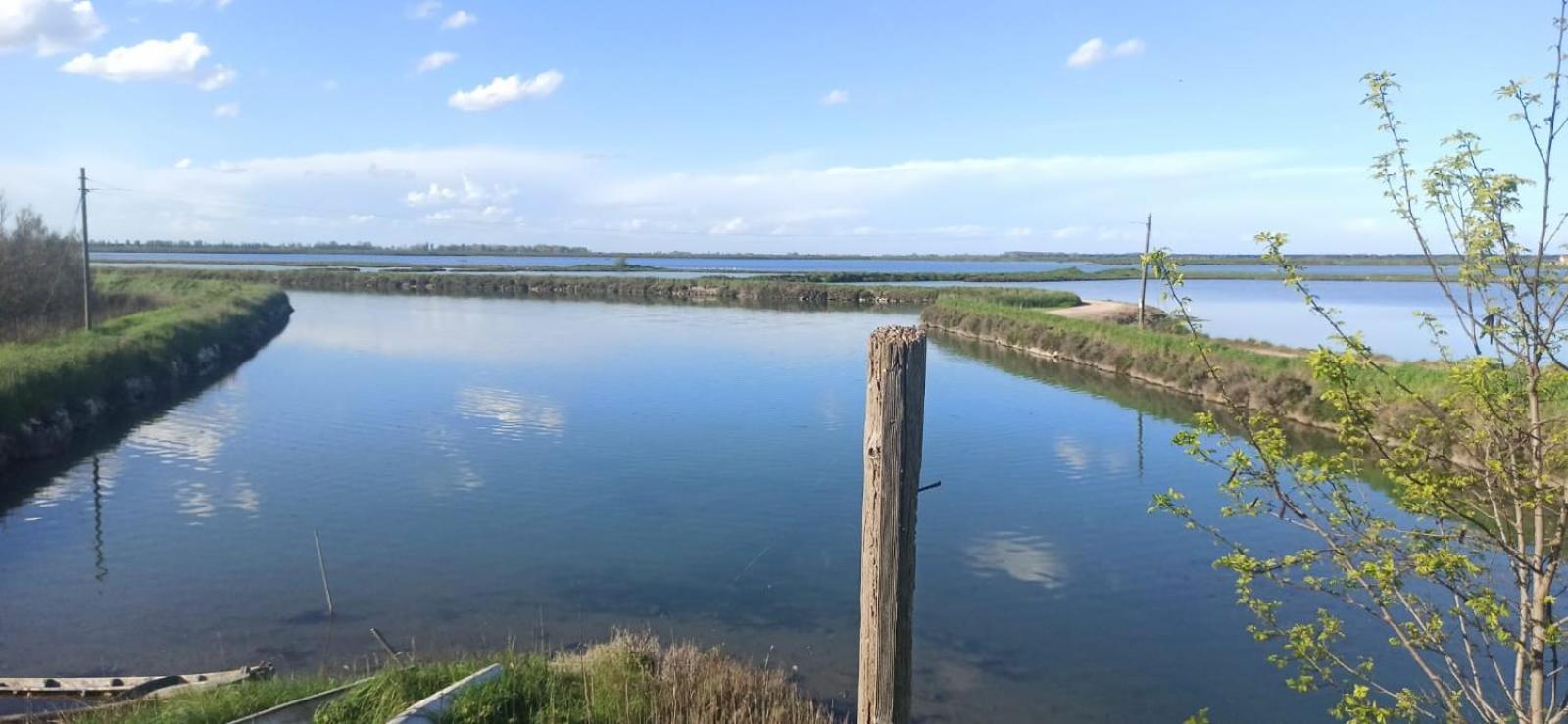 Casa Vacanze Nel Delta Del Po Taglio di Po エクステリア 写真