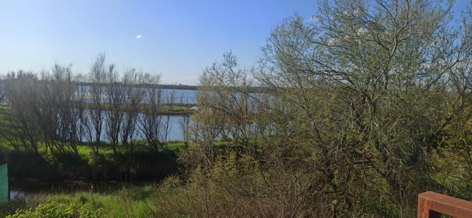 Casa Vacanze Nel Delta Del Po Taglio di Po エクステリア 写真