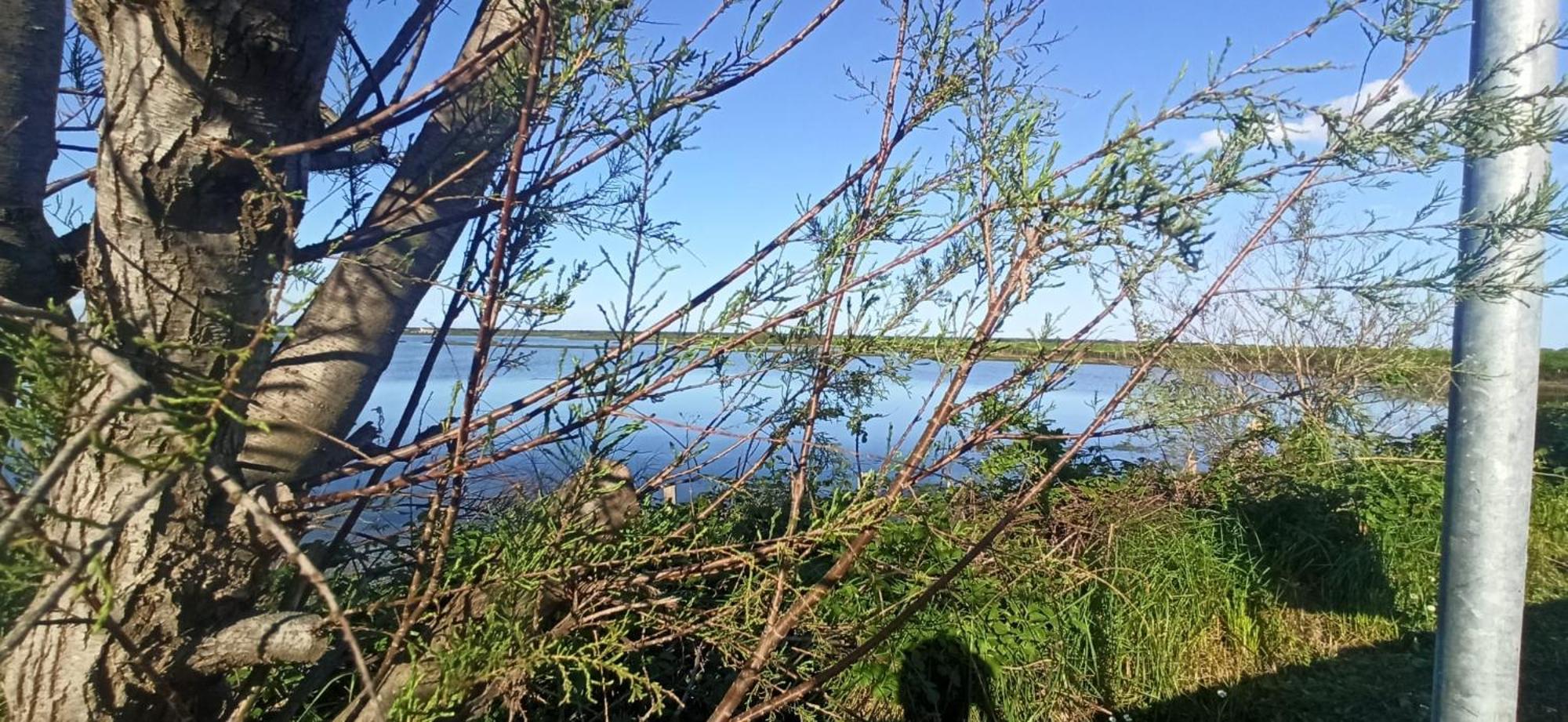 Casa Vacanze Nel Delta Del Po Taglio di Po エクステリア 写真
