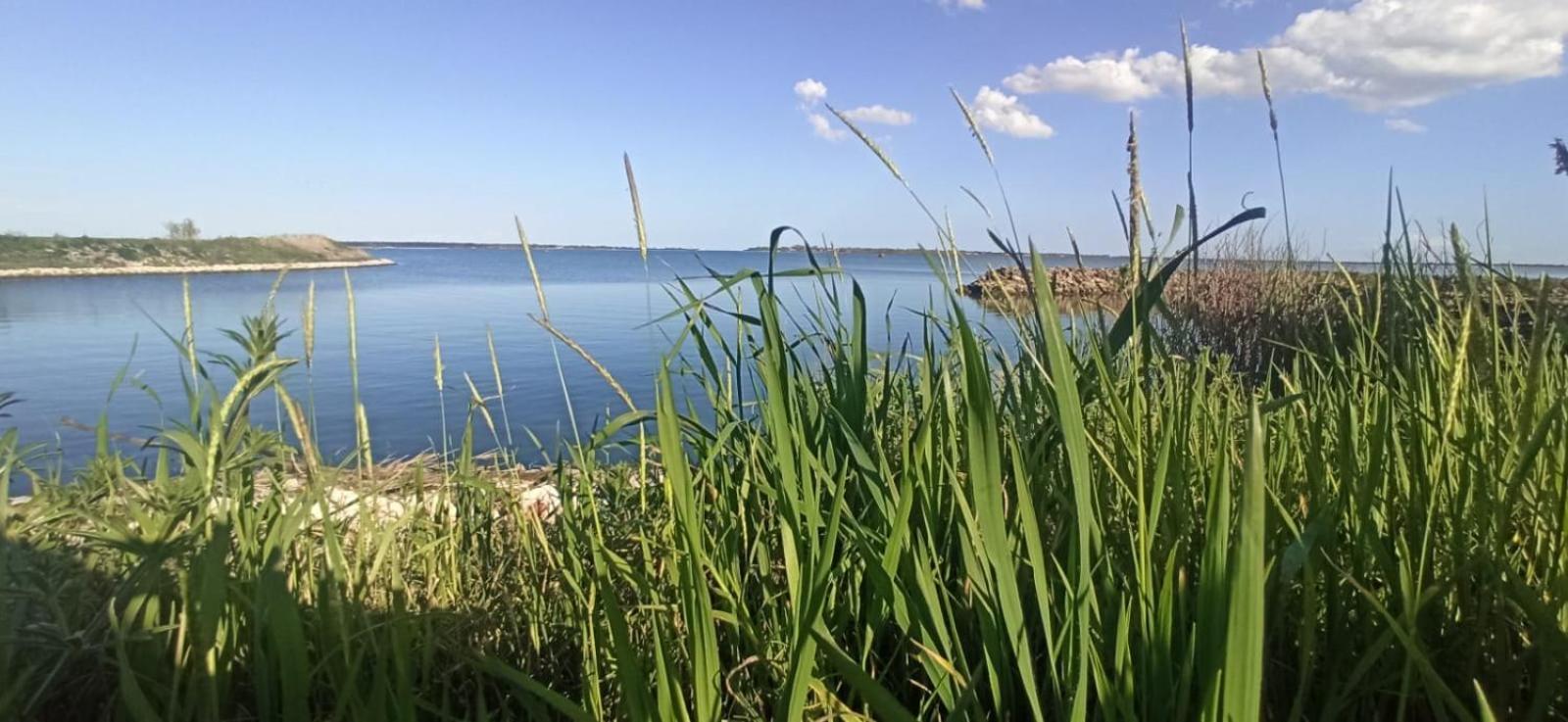 Casa Vacanze Nel Delta Del Po Taglio di Po エクステリア 写真