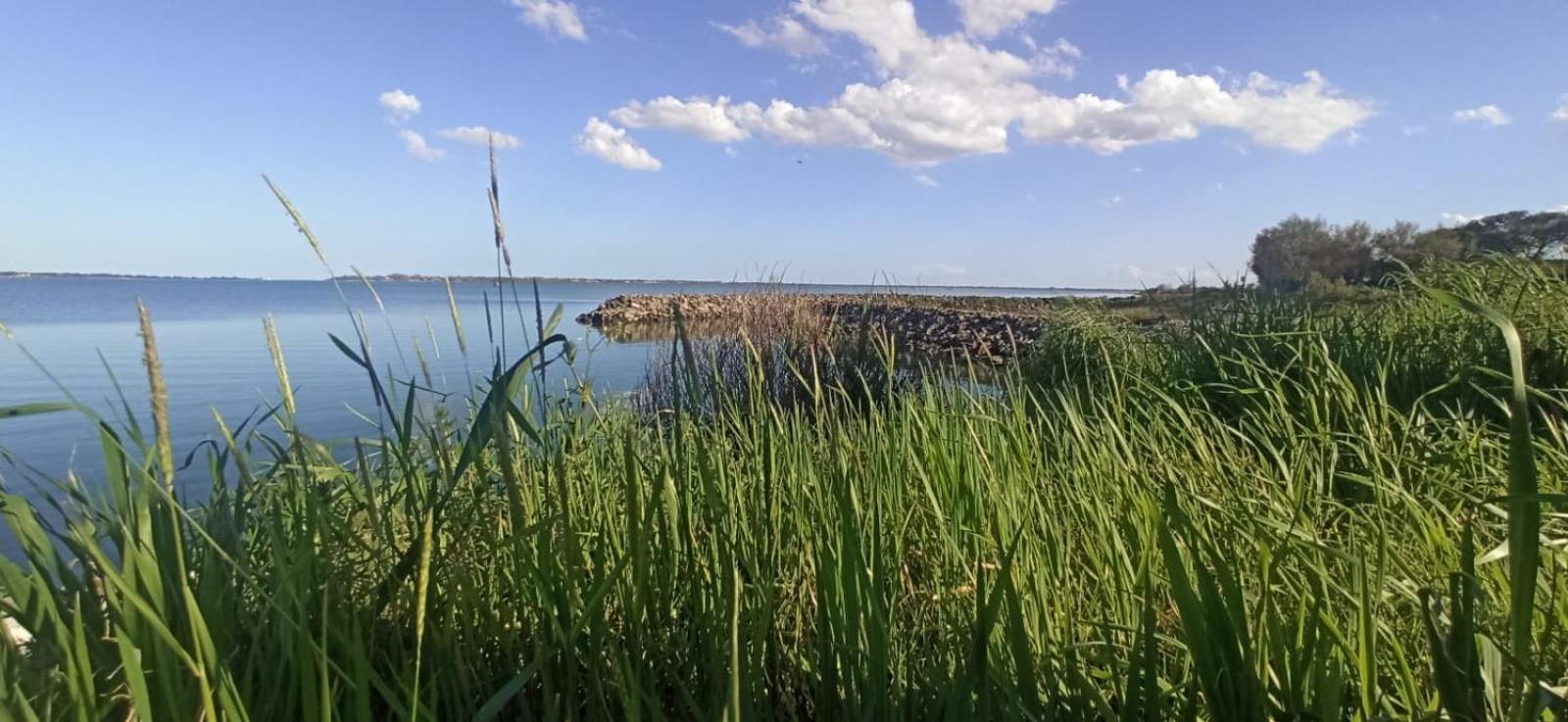 Casa Vacanze Nel Delta Del Po Taglio di Po エクステリア 写真