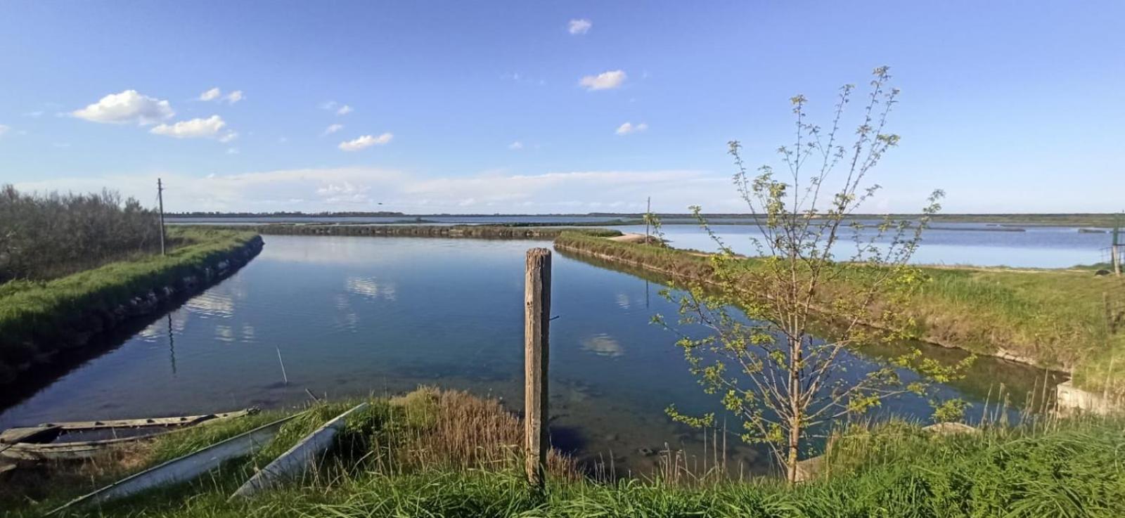 Casa Vacanze Nel Delta Del Po Taglio di Po エクステリア 写真