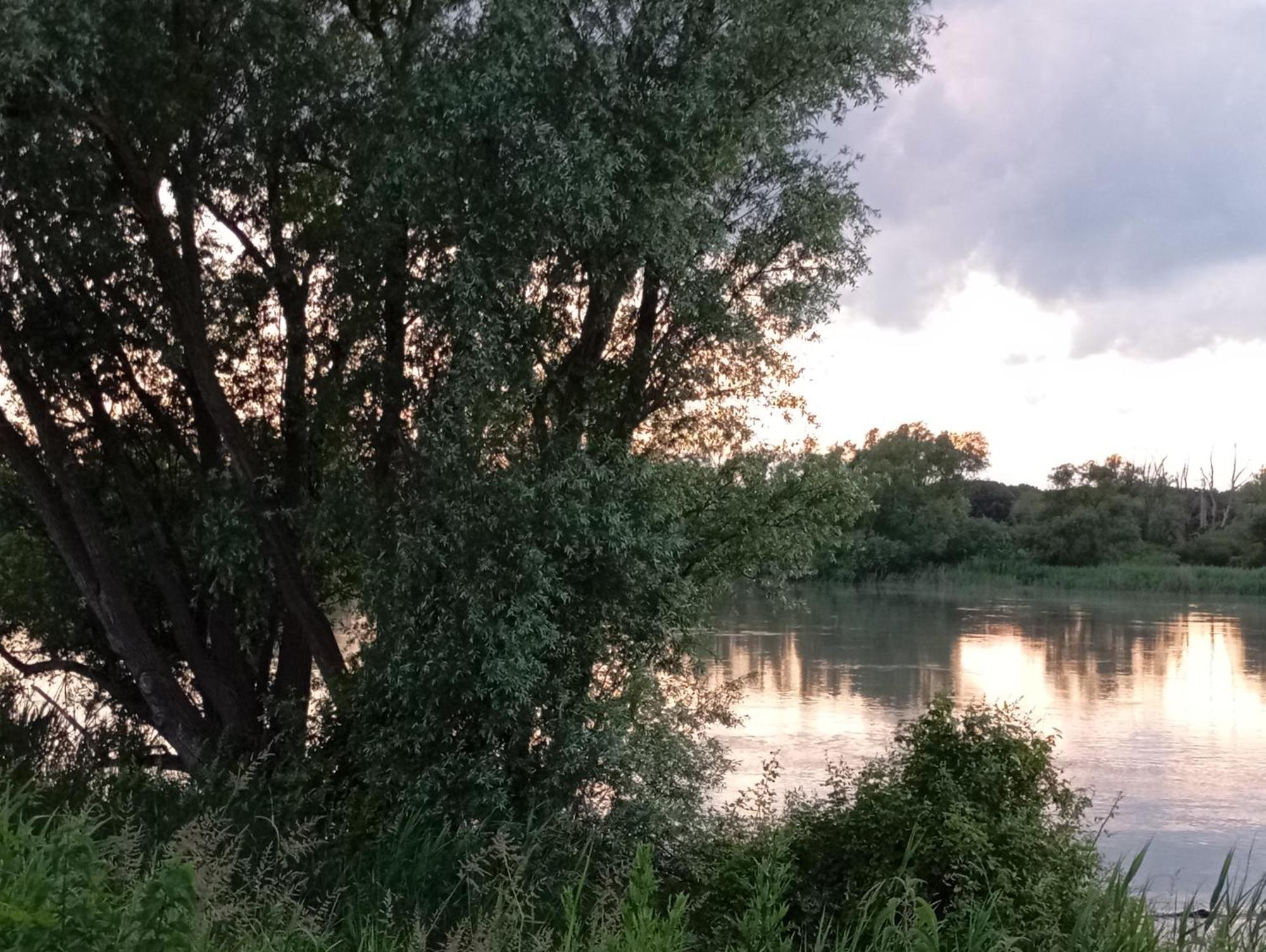 Casa Vacanze Nel Delta Del Po Taglio di Po エクステリア 写真