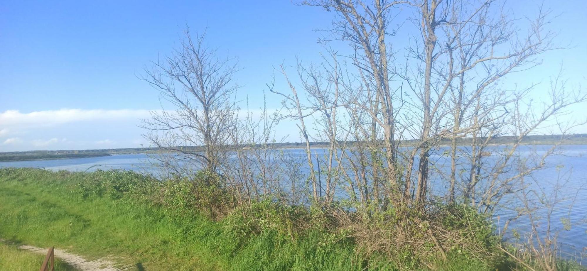 Casa Vacanze Nel Delta Del Po Taglio di Po エクステリア 写真