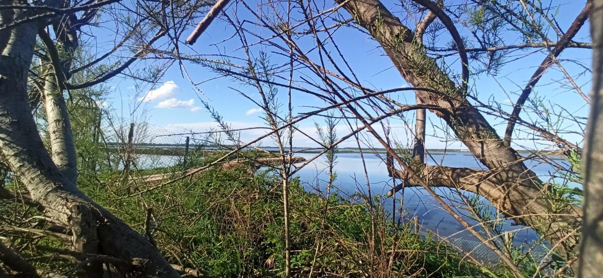Casa Vacanze Nel Delta Del Po Taglio di Po エクステリア 写真