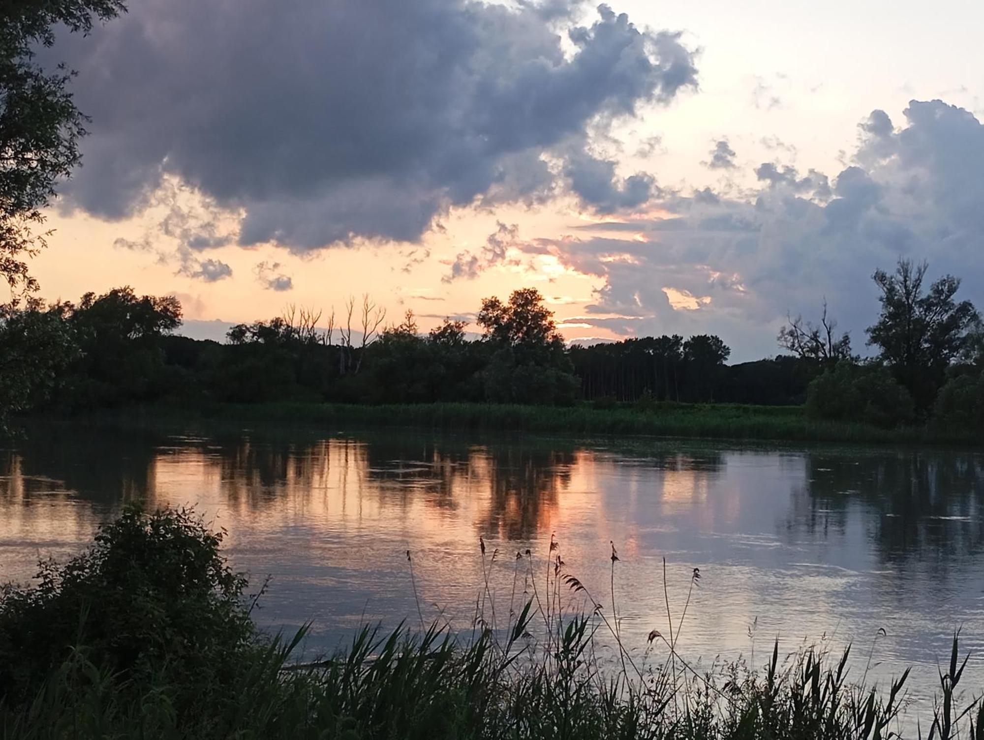 Casa Vacanze Nel Delta Del Po Taglio di Po エクステリア 写真